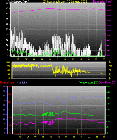 24 Hour Graph for Day 10