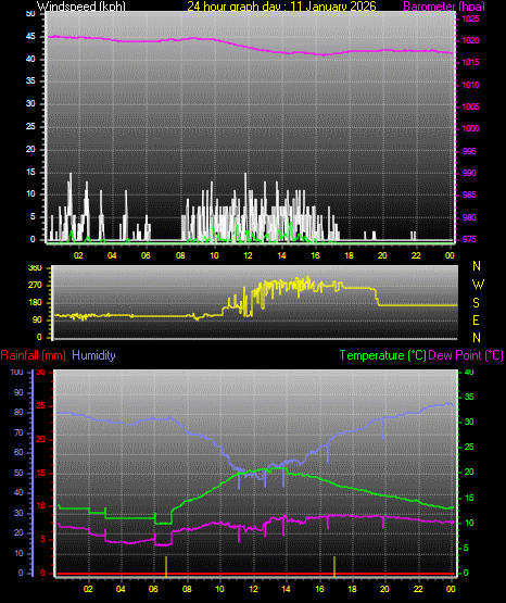 24 Hour Graph for Day 11