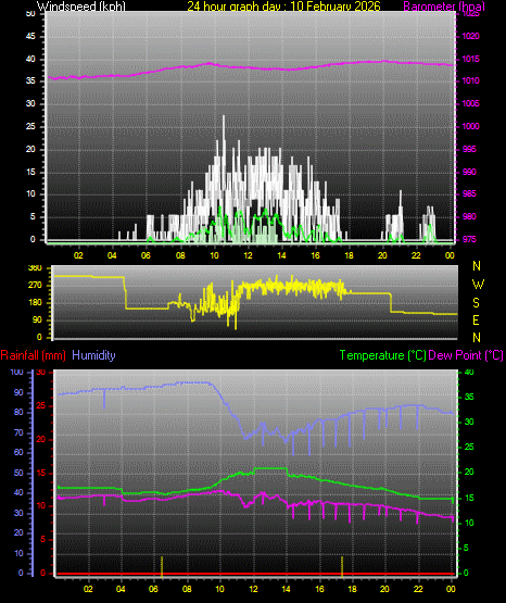 24 Hour Graph for Day 10