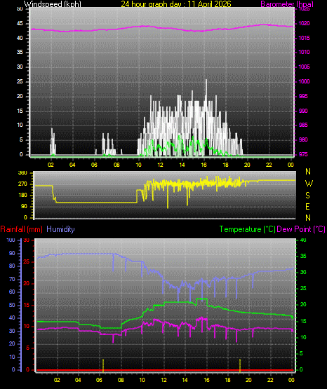 24 Hour Graph for Day 11