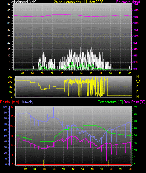 24 Hour Graph for Day 11