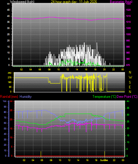 24 Hour Graph for Day 11