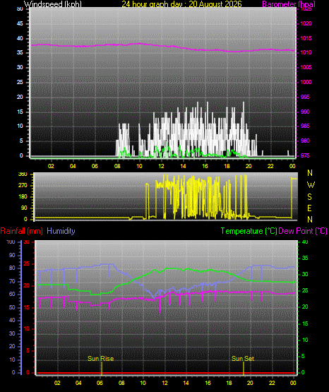 24 Hour Graph for Day 20