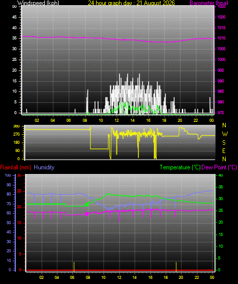 24 Hour Graph for Day 21